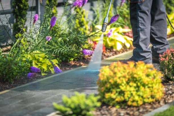 Best Pool Deck Cleaning  in Lake City, MN