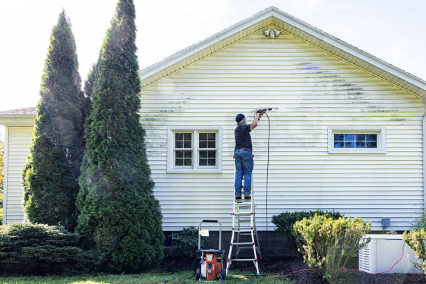 Professional Pressure Washing Services in Lake City, MN